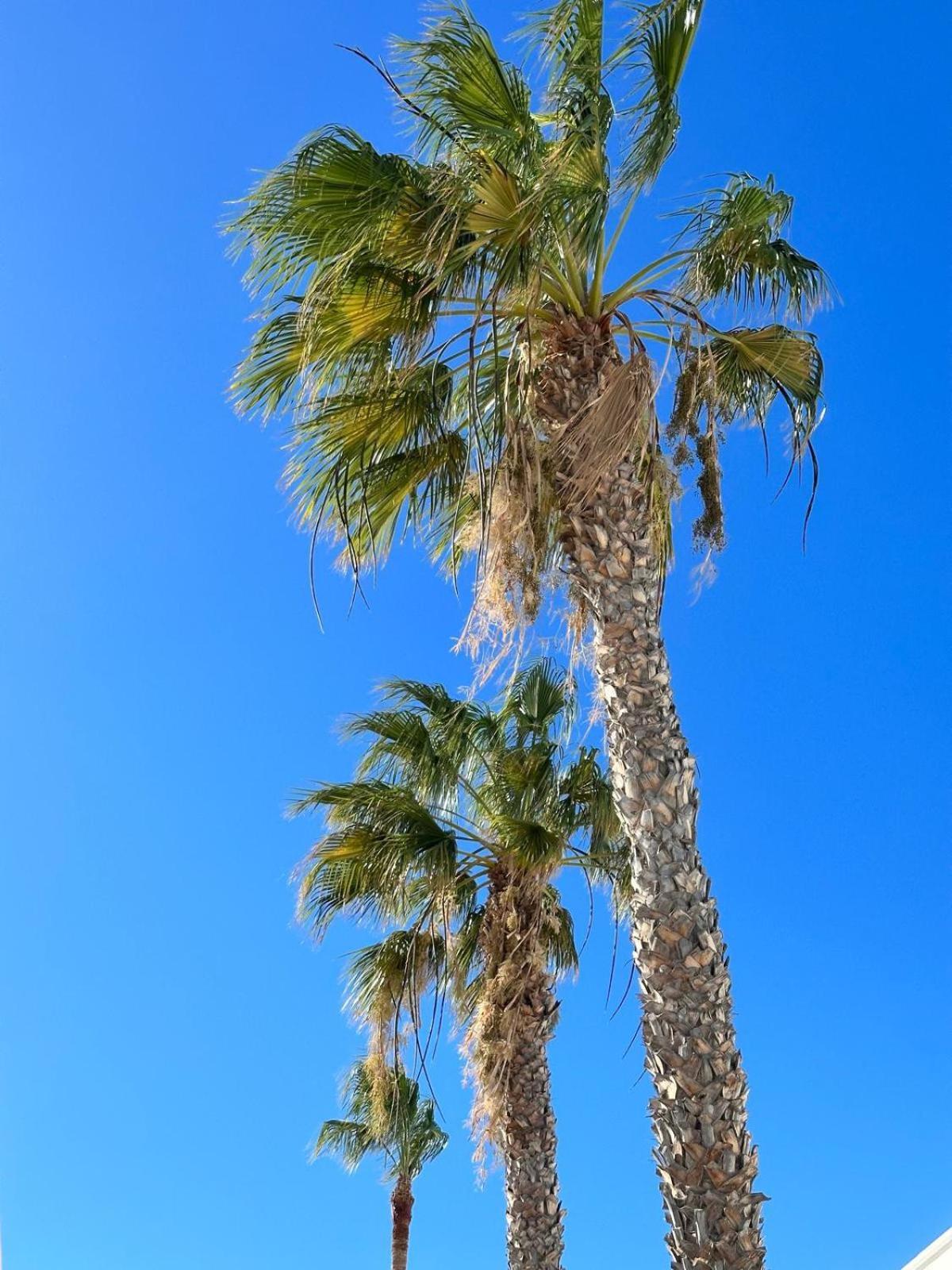 Sunny Apartment Puerto del Carmen  Zewnętrze zdjęcie